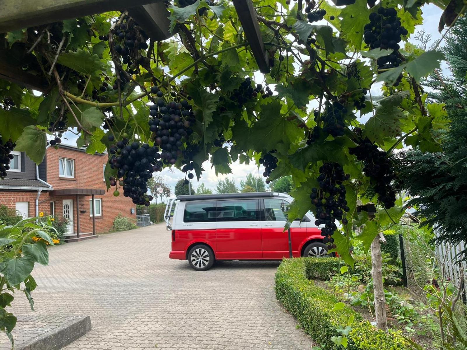 Neumuhler Hof: 